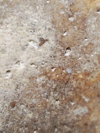 พระสมเด็จเนื้อสวยๆครับ รูปที่ 16