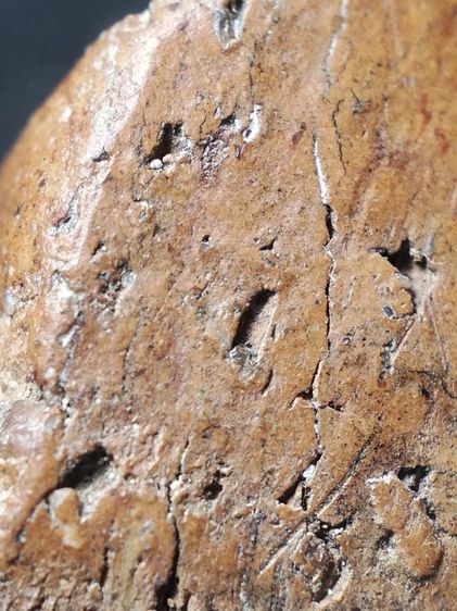 พระขุนแผนสุพรรณบุรีครับ รูปที่ 16