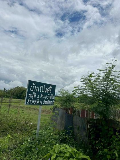 ที่ดินเมืองแพร่ - 7 ไร่ บ้านถิ่น รูปที่ 2