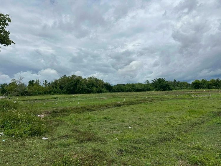 ที่ดินเมืองแพร่ - 7 ไร่ บ้านถิ่น รูปที่ 3