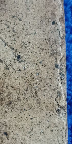 พระสมเด็จวัดระฆัง รูปที่ 6