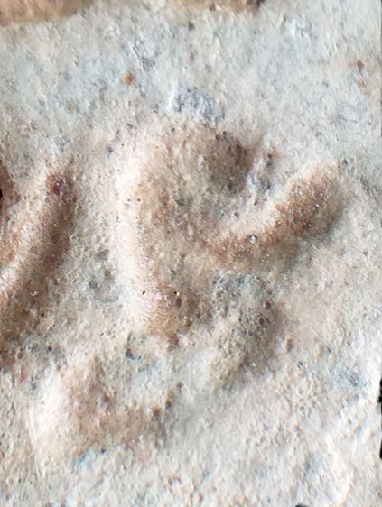 ปากน้ำ รุ่น3. รูปที่ 17