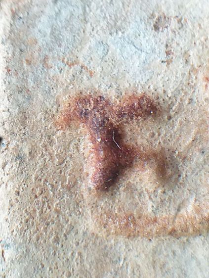 ปากน้ำ รุ่น3. รูปที่ 14