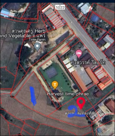 ขายที่ดิน 3 ไร่ ทำเลสวยมาก วิวเห็นเขารอบด้าน 360 องศา ใกล้พระธาตุช่อแฮ ใกล้สนามบินแพร่ รูปที่ 4