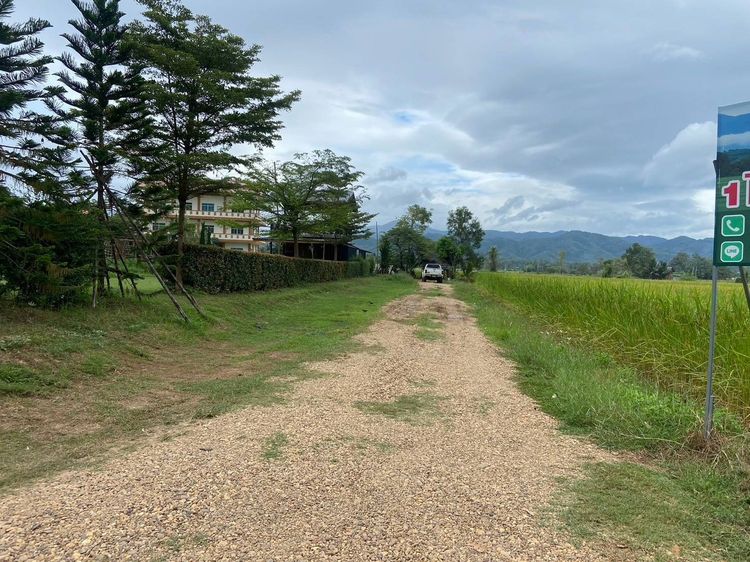 ขายที่ดิน 3 ไร่ ทำเลสวยมาก วิวเห็นเขารอบด้าน 360 องศา ใกล้พระธาตุช่อแฮ ใกล้สนามบินแพร่ รูปที่ 2