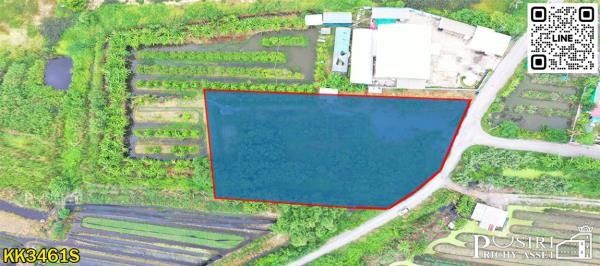 ขายที่ถมสวย 727 วา หน้ากว้าง 41 เมตร ทรงดี เดินทางสะดวกมาก ใกล้ ถ.พุทธสาคร แคราย และบางบอน 5 - KK3461S รูปที่ 3