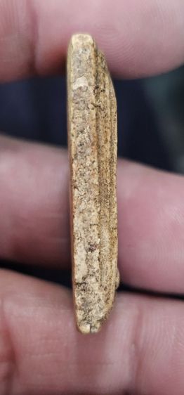 พระสมเด็จ รูปที่ 7