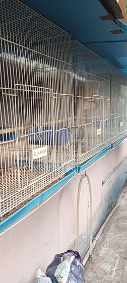 กรง คอกและประตู ขายกรงนก