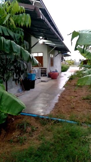 ให้เช่าบ้านสวน 2ห้องนอน 3ห้องน้ำ หนองฉาง อุทัยธานี