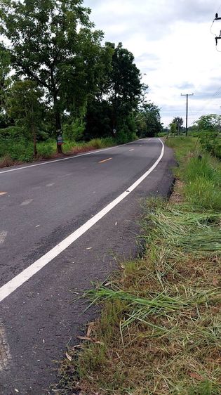 อื่นๆ มีบางส่วน ให้เช่าบ้านสวน 2ห้องนอน 3ห้องน้ำ หนองฉาง อุทัยธานี รูปที่ 3