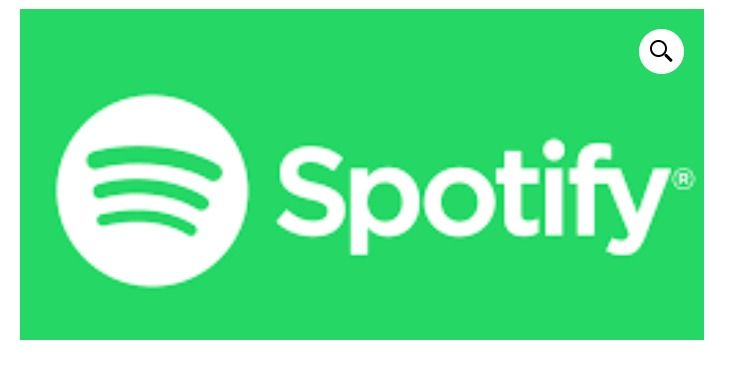 Spotify Premium Private Official 1 Month