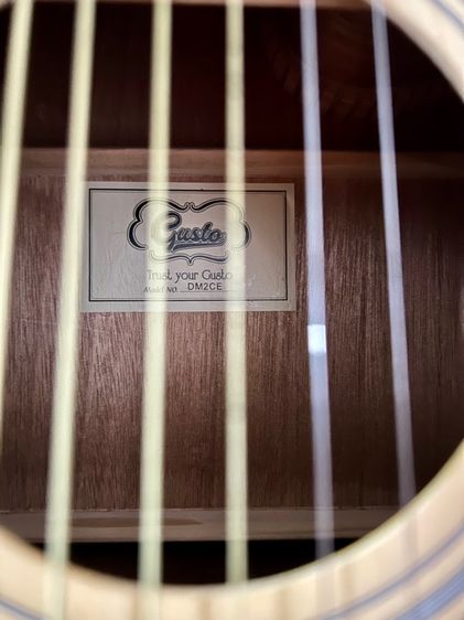 กีตาร์โปรไฟฟ้า gusta รูปที่ 10