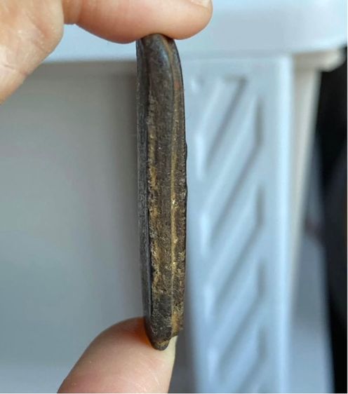 พระลีลาหลวงปู่บุญเนื้อผงยาจินดามณี รูปที่ 3