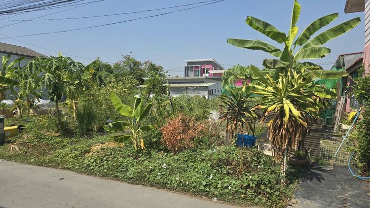 ขายที่ดิน ใกล้สวนหลวง ร.9