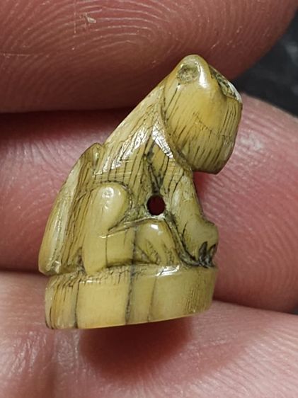 เสือหลวงพ่อปาน วัดบางเหี้ย  รูปที่ 3