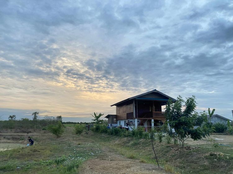 มีบางส่วน 2025 ขายบ้าน 2 ชั้น สร้างใหม่ บนเนื้อที่ 2 ไร่ ติดถนนดำ อ.ศรีสัชนาลัย สุโขทัย รูปที่ 4