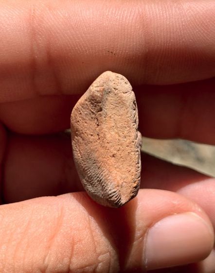 หลวงพ่อโต รูปที่ 5