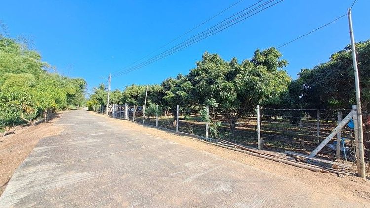 ไม่ใช่ ติดแม่น้ำปิง เจ้าของขายเองสวนลำไยวิวสวยเหมาะทำบ้านพักตากอากาศ รูปที่ 3