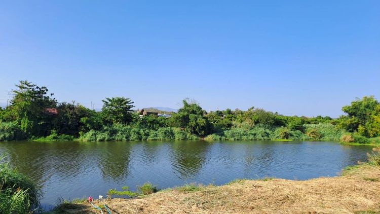 ไม่ใช่ ติดแม่น้ำปิง เจ้าของขายเองสวนลำไยวิวสวยเหมาะทำบ้านพักตากอากาศ รูปที่ 2