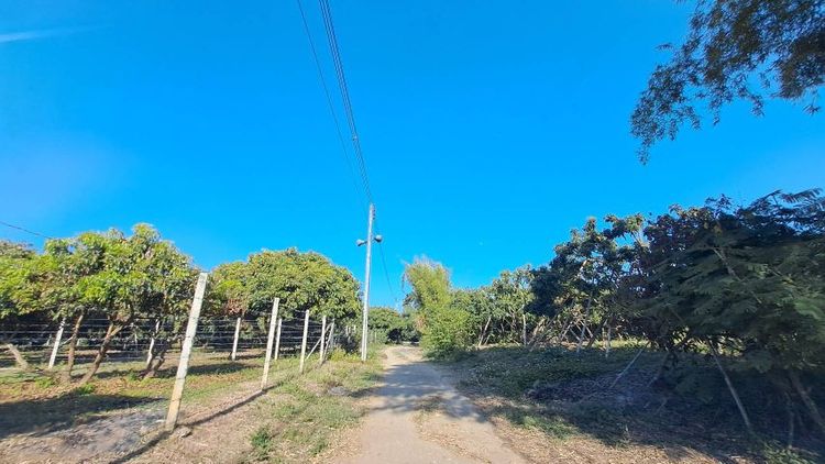 ไม่ใช่ ติดแม่น้ำปิง เจ้าของขายเองสวนลำไยวิวสวยเหมาะทำบ้านพักตากอากาศ รูปที่ 4