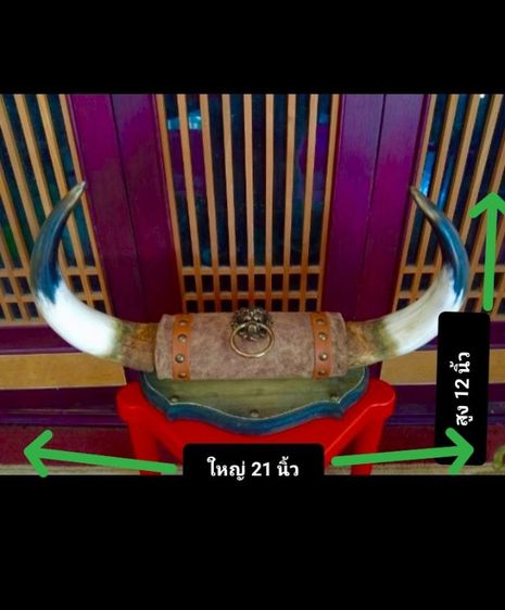  แท้สุดงามขนาดใหญ่สภาพเยี่ยมไม่เคยแขวนโชว์มาก่อน รูปที่ 2