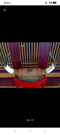  แท้สุดงามขนาดใหญ่สภาพเยี่ยมไม่เคยแขวนโชว์มาก่อน รูปที่ 6