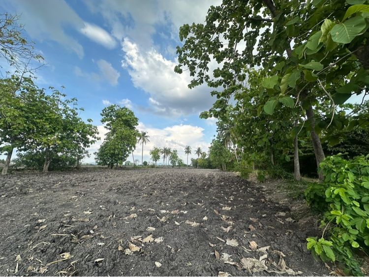 ใช่ ที่ดินสระบุรี รูปที่ 2