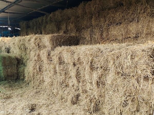 ฟางอัดก้อน รูปที่ 4