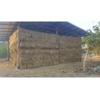 ฟางอัดก้อน รูปที่ 5