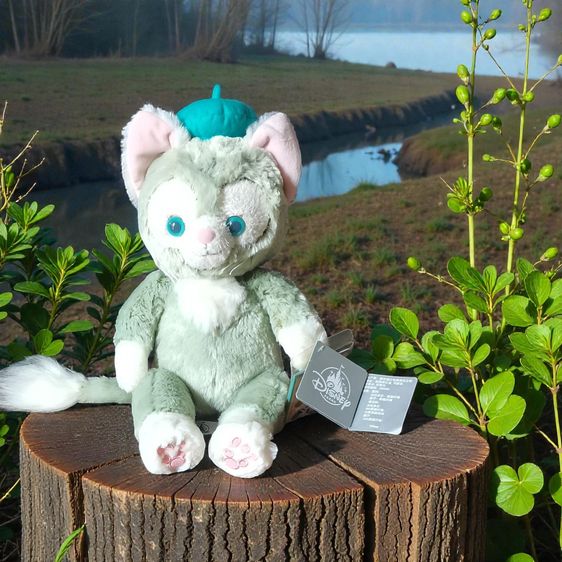 ตุ๊กตาดีสนี่ รูปที่ 5