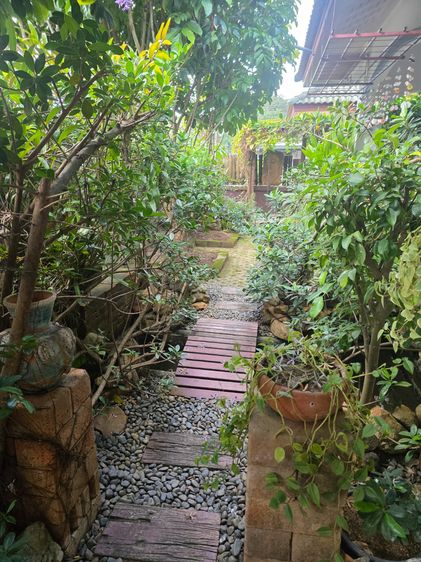 อื่นๆ ตกแต่งครบ สร้างเสร็จก่อน 2010 บ้านเดี่ยว ดอยสะเก็ด ในหมู่ บ้านอินทรชิดชัย จ.เชียงใหม่ รูปที่ 4