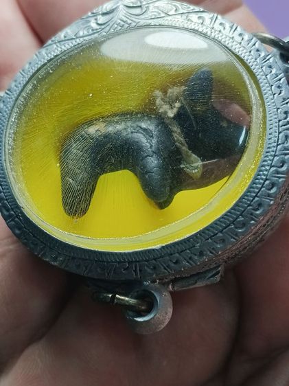 วัวธนู หลวงพ่อน้อย วัดศรีษะทอง จ.นครปฐม รุ่นเเรก สภาพสวย ไม่ผ่านการใช้ เจ้าของเดิมเลี่ยมตลับเงินลงยาสามห่วงเเล้วแขวนไว้หน้าหิ้งพระป้องกันภัย รูปที่ 9