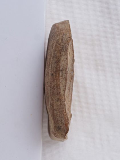 พระเนื้อดิน 12116818 รูปที่ 4