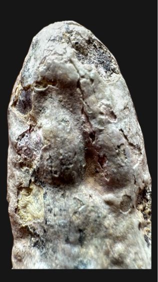 พระรอดหนองมน รูปที่ 3