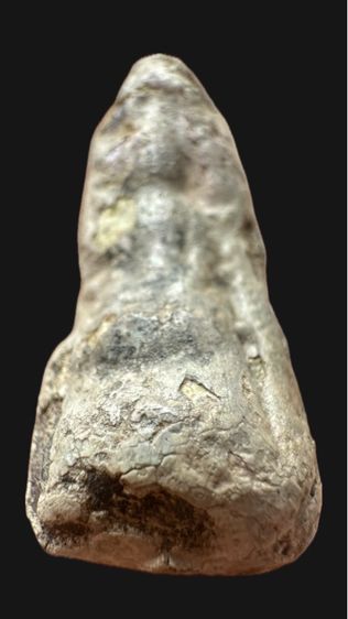 พระรอดหนองมน รูปที่ 2