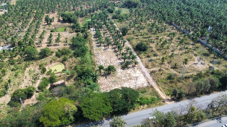 ขายที่ดินทับสะแกแลนด์ 5-3-96 ไร่ ติดถนนสายเอเชีย ทำเลทอง ราคาสำหรับนักลงทุน เพชรเกษมขาล่องใต้ ประจวบคีรีขันธ์