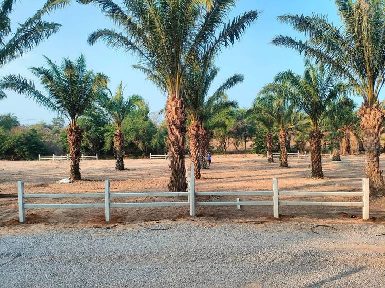 ขายที่ดินทับสะแกแลนด์ 5-3-96 ไร่ ติดถนนสายเอเชีย ทำเลทอง ราคาสำหรับนักลงทุน เพชรเกษมขาล่องใต้ ประจวบคีรีขันธ์ รูปที่ 4