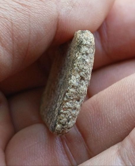 พระสมเด็จวัดระฆังพิมพ์ใหญ่ รูปที่ 10