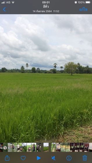 ขายที่นา