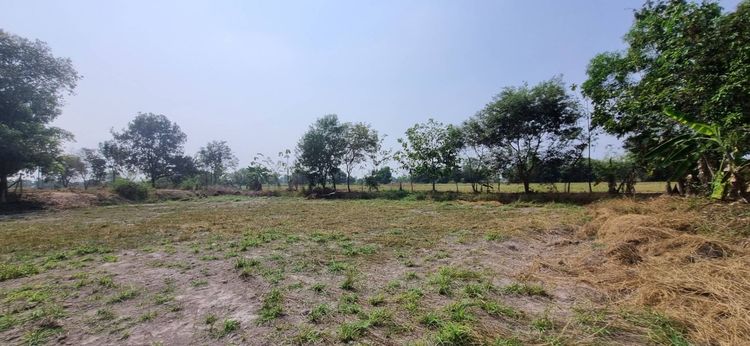 ขายที่ดินเปล่า นครนายก อ.เมือง 1 ไร่ 3 งาน 58 ตรว. ทำเลดี ติดคลอง ราคา 1.9 ล้าน รูปที่ 4