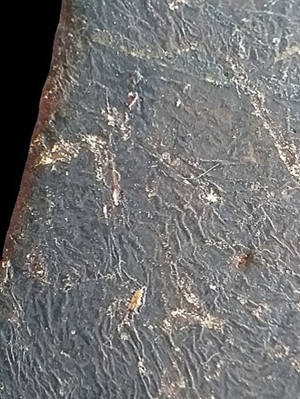 พระสมเด็จจิตรลดา.ปี09. รูปที่ 15