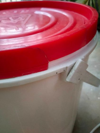 ถังพลาสติกโบราณวินเทจ 4 ใบ รูปที่ 14