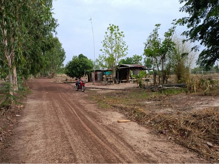 ขายที่นา 14 ไร่ 20 ตารางวา รูปที่ 3