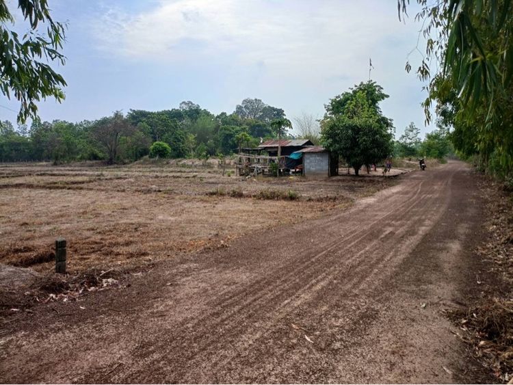 ขายที่นา 14 ไร่ 20 ตารางวา รูปที่ 4