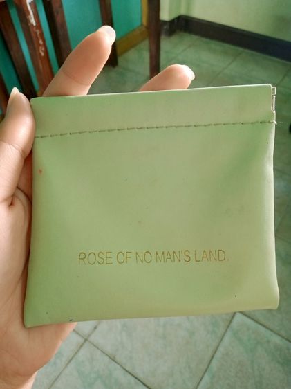 อื่นๆ หนังเทียม ไม่ระบุ เขียว กระเป๋า