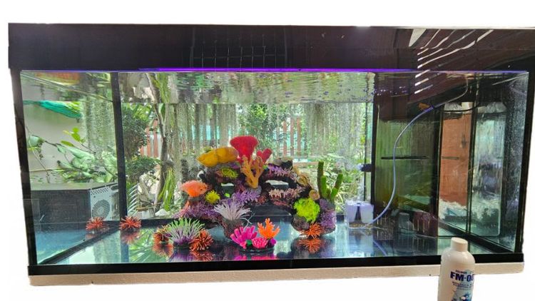 ขายตู้ปลาพร้อมตู้วางรวมของตกแต่งเรซิ่น ระบบกรแงพร้อม รูปที่ 4