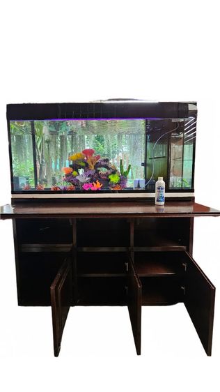 อุปกรณ์ตู้ปลา ขายตู้ปลาพร้อมตู้วางรวมของตกแต่งเรซิ่น ระบบกรแงพร้อม