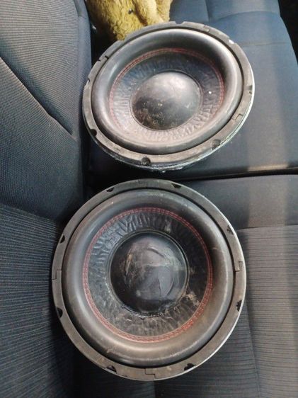 ดอกลำโพง10นิ้ว