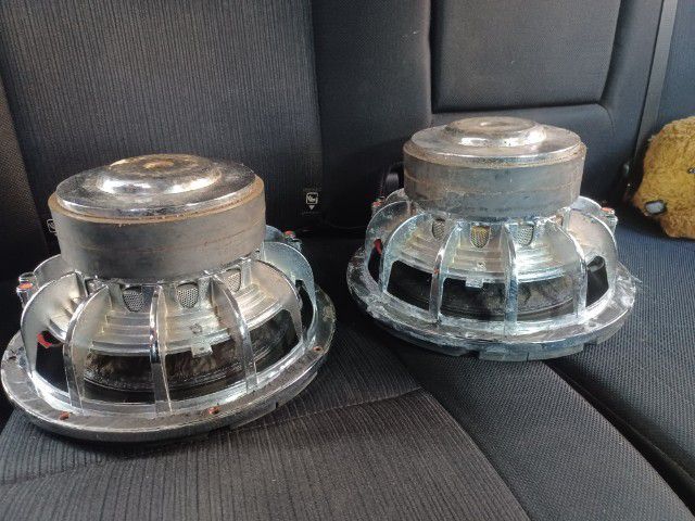 ดอกลำโพง10นิ้ว รูปที่ 3