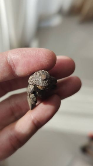 พ่องั่งแม่เป๋อไม้แกะเก่าฝังตะปูตอกโรงผี  รูปที่ 6